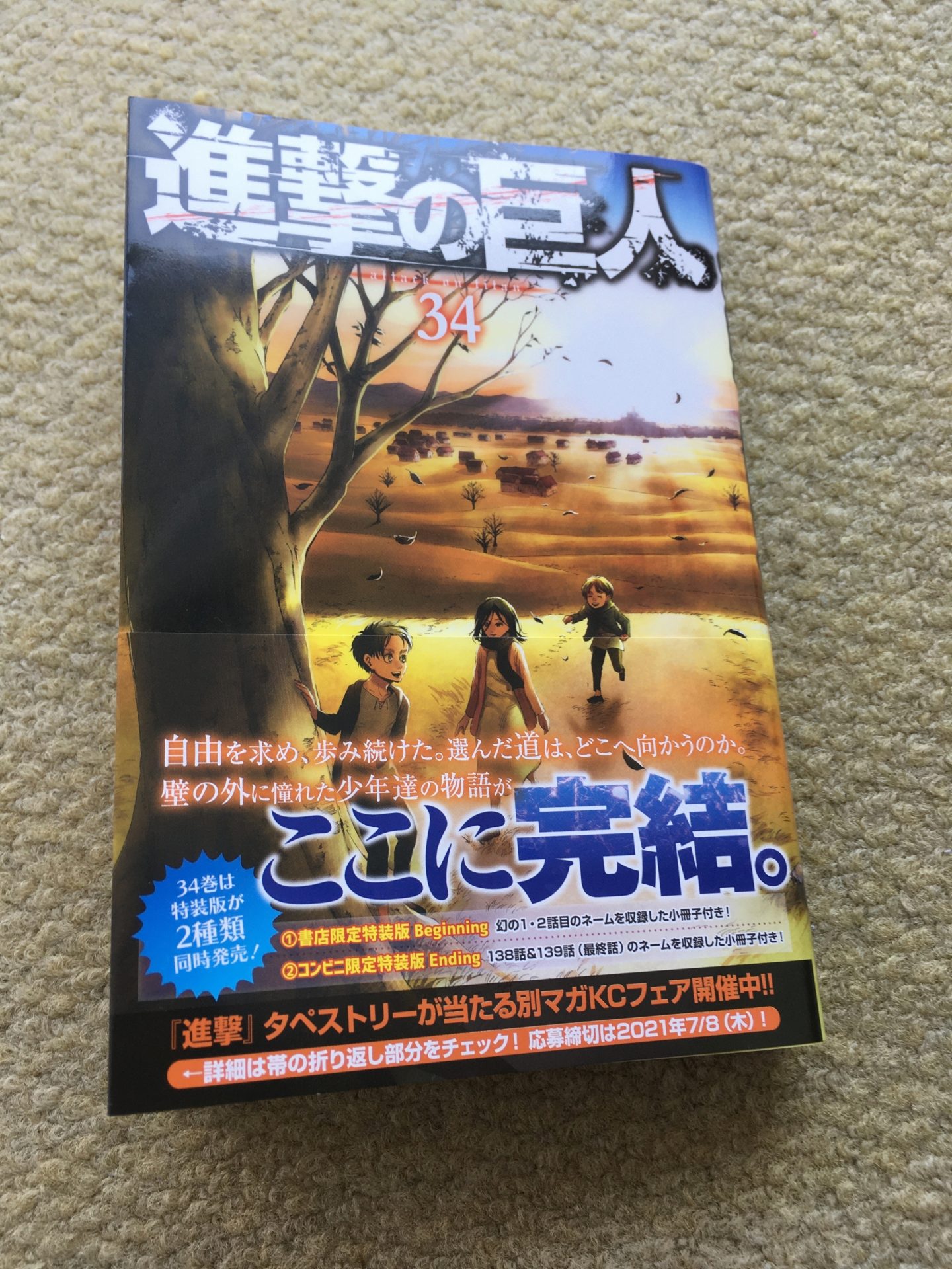 少し寂しい結末 進撃の巨人 最終巻ネタバレ感想 本と漫画のレビュー