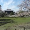奈良県まとめ | 岡山から青春18きっぷ旅行！